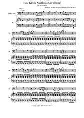 Eine Kleine Nachtmusik (Fantasia) 1st movement for Double Bass and Piano